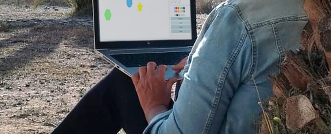 ZIESOO Systemische (familie) opstelling Online